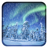 Aurora Winter Live Wallpaper icon