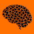 LoveNeuro: Student-Led Neuroscience App10.39.01. (Paid) (SAP)