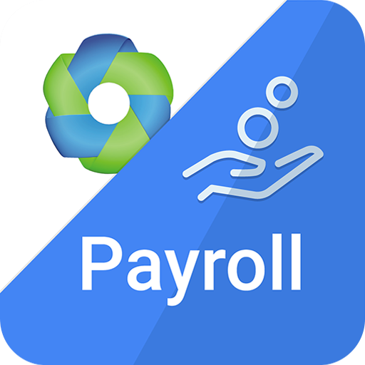 Farvision Payroll logo