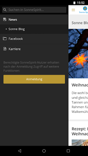 SonneSpirit Screen 2