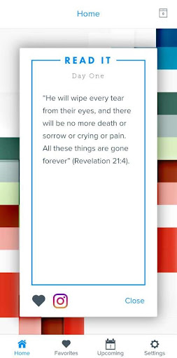 Android application LIVE Daily screenshort