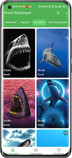 3D Shark in the Live Wallpaper Screen 3