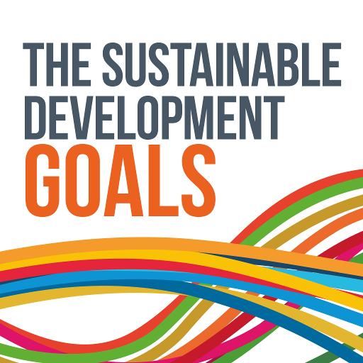 Sustainable Development Goals  Icon