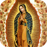 Virgen de Guadalupe de Cantera icon