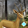 Cute Gazelle Simulator icon