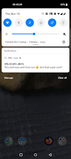 ntfy - PUT/POST to your phone Screen 3