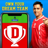 Dream11 Expert  Dream11 Cricket Prediction Guide