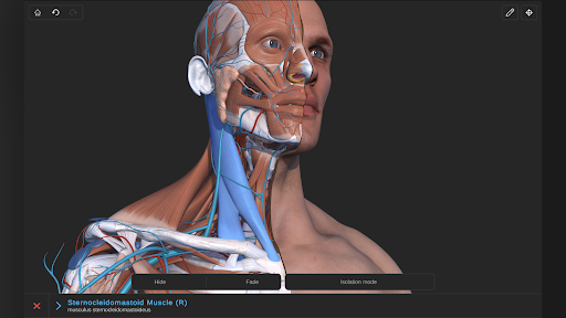 Screenshot of Visual Anatomy 3D - Human body