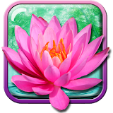 Lotus Flower Live Wallpaper icon