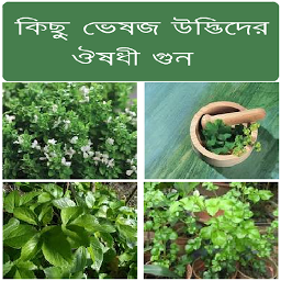 Icoonafbeelding voor Herbal Plant Medicine (Bangla)