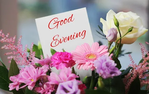 Good Evening GIF & Wishes