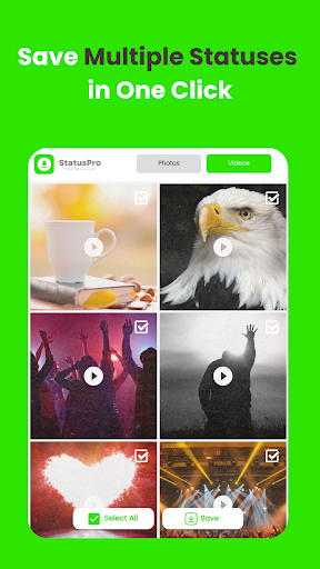 StatusPro: Status, DPs, Quotes Screen 2