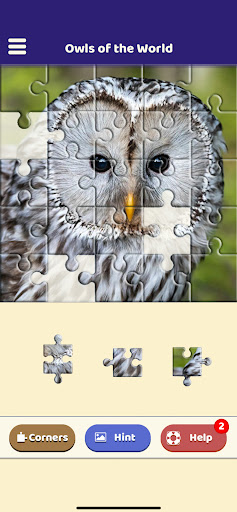 Owls of the World Puzzle Screen 3