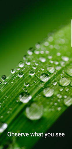 Android application Make Me Mindful screenshort