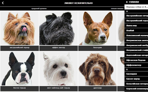 Породы собак