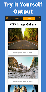 Learn CSS – Pro APK (Paid/Full) 5