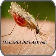 MALARIA Disease