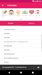 Italian Russian Offline Dictionary & Translator