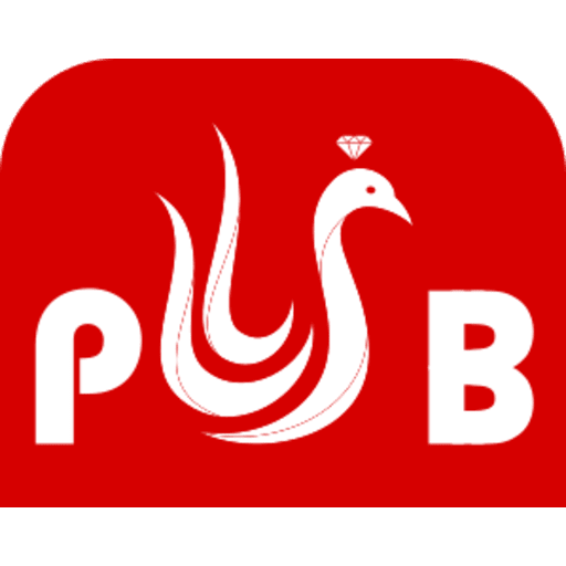 Profit Buy logo