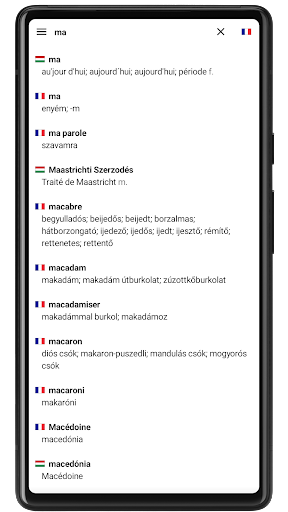 Hungarian Dictionary Screen 3