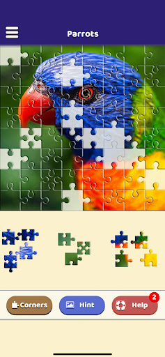 Parrot Love Puzzle Screen 2