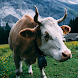 Cow Wallpapers - Androidアプリ