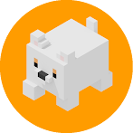 Runaway Cat