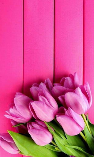 Flowers Wallpaper Screen 3