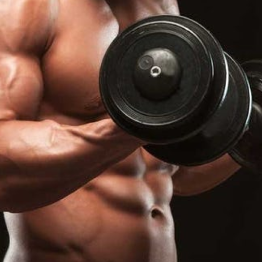 Workout Master 2022 logo