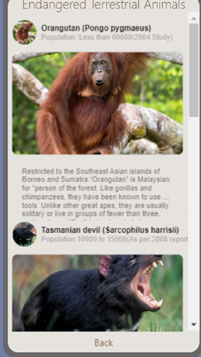 Endangered Animals by Abdullah