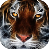 King Tiger theme-Fingerprint icon