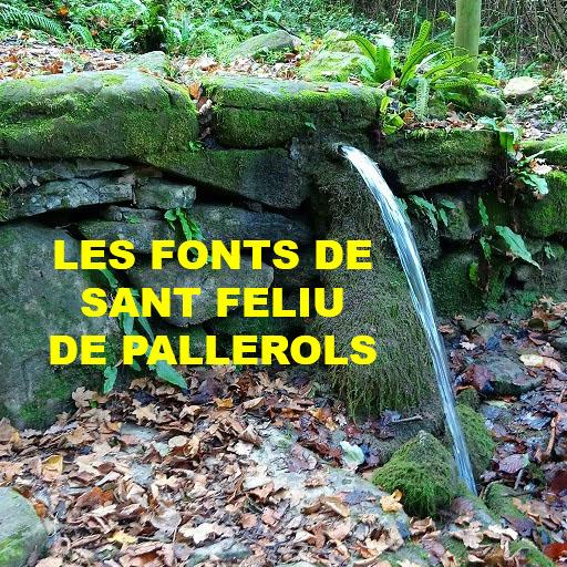 Les fonts de Sant Feliu de Pal logo