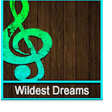 T.Swift Wildest Dreams Lyrics icon