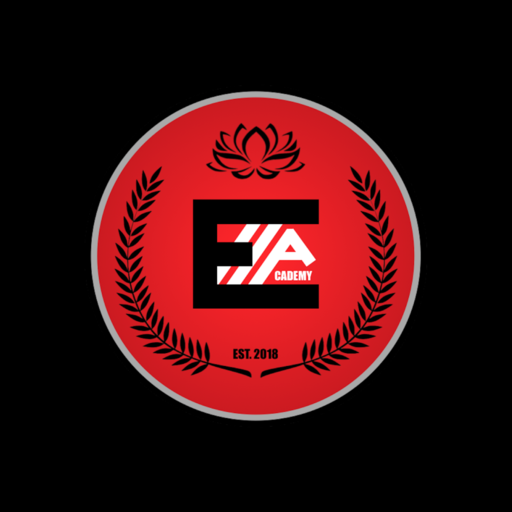 Edge11 Academy logo