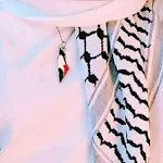Cover Image of Unduh اغاني فلسطينية بدون نت 2021 1.10 APK