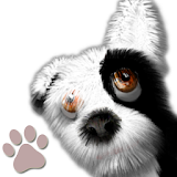 Oh My Dog - Virtual Pet icon