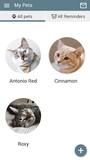 CatClinicFlsm Screen 3