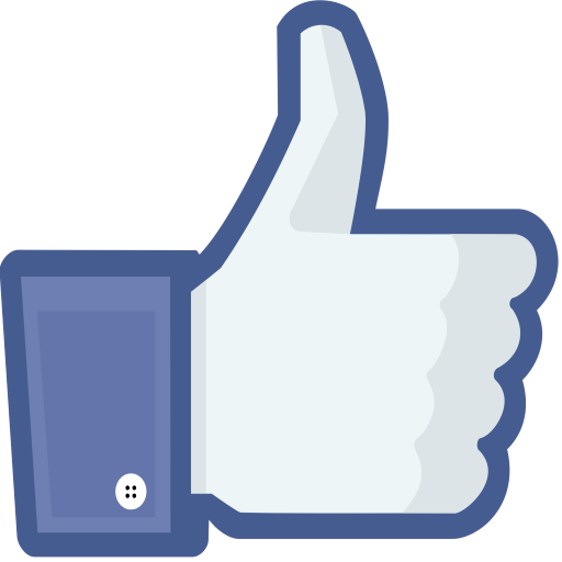 Like Survey logo