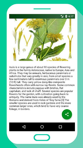 HEALTHY HERBS - Herb Guide App Screen 3
