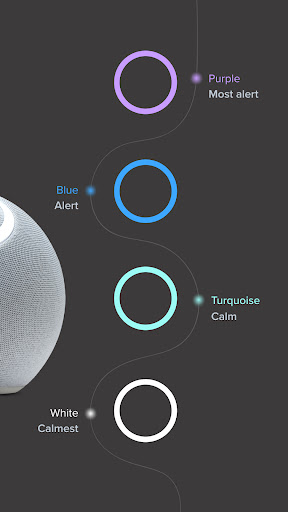 Reflect - Wellbeing Companion Screen 2