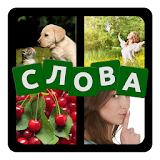 4 фото 1 слово на русском 2024 icon