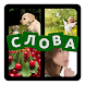 4 фото 1 слово на русском 2024 - Androidアプリ