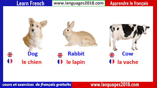 Learn French -Français Facile Screen 2
