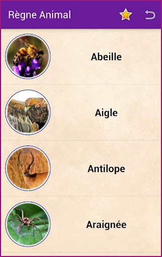 In Vita Screen 2