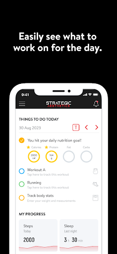 Strategic Aesthetics Screen 2