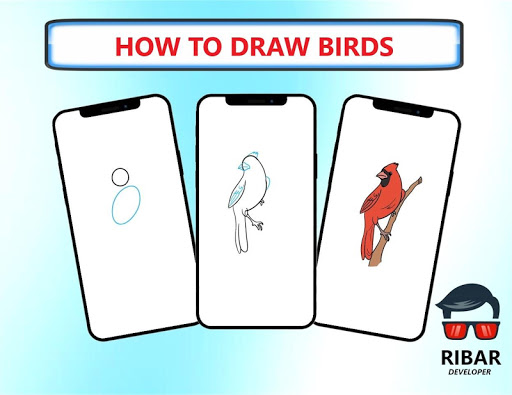 How To Draw Birds