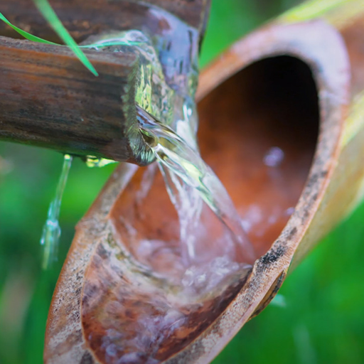 bamboo fountain lwp logo