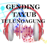 Cover Image of डाउनलोड GENDING TAYUB TULUNGAGUNG 2.0 APK