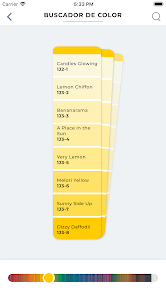 Screenshot 5 Lanco - Color Expression android