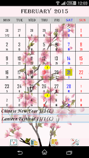 E-Calendar Pro